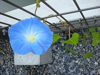 f0152412_2227548.jpg