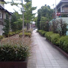 c0036617_20554836.jpg