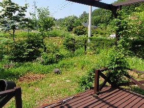 f0022024_014996.jpg