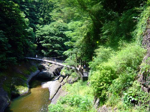 f0147025_182514.jpg