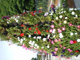 d0054930_14511968.jpg