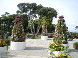 d0054930_1451223.jpg