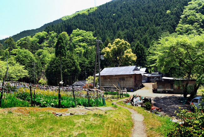 d0147530_4352843.jpg