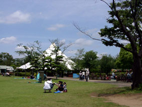b0143231_13495368.jpg