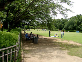 b0143231_13501350.jpg