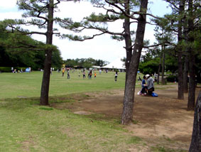b0143231_13502620.jpg