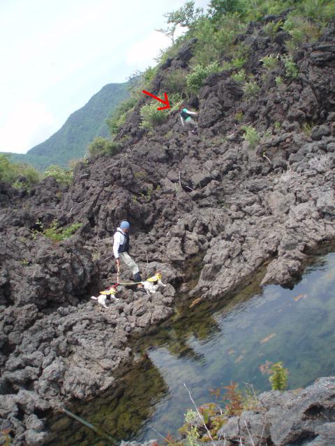 c0035931_2255988.jpg