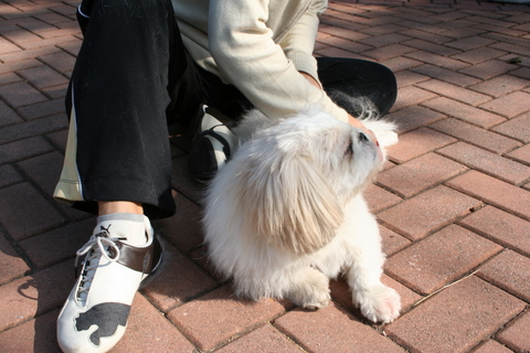 e0018143_3512882.jpg