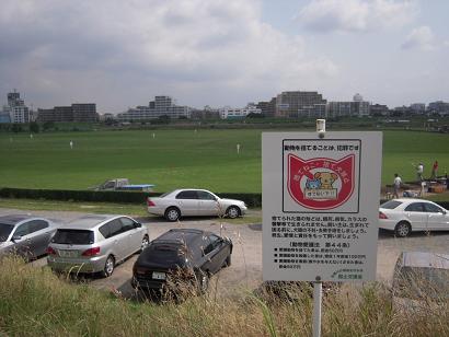 c0156345_1922025.jpg