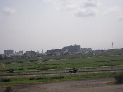 c0156345_1974158.jpg