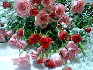 c0011446_19545153.jpg