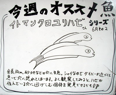 e0027447_2245242.jpg