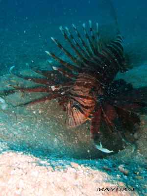 e0027447_2249391.jpg