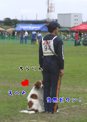 d0013149_833826.jpg