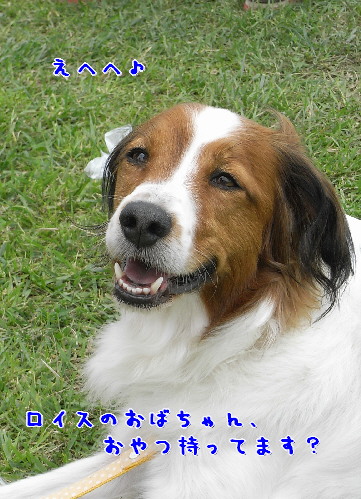 d0013149_8433778.jpg