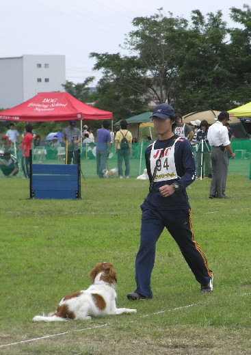 d0013149_931598.jpg