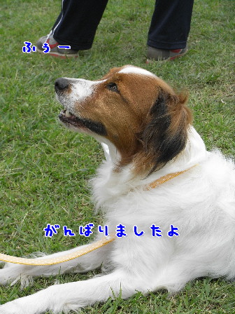 d0013149_9331237.jpg