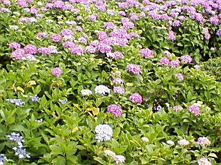 d0063149_18484628.jpg