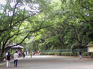 d0063149_18513923.jpg