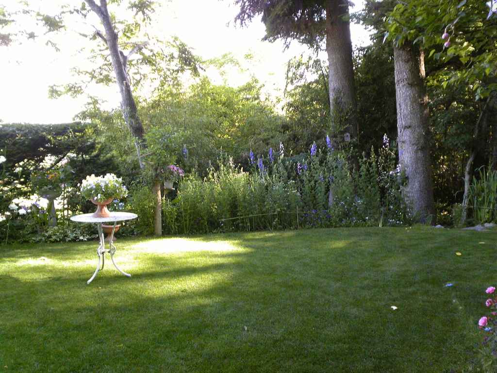 b0029350_19472359.jpg
