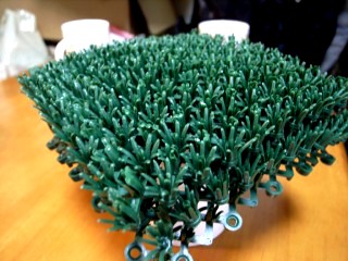 f0106557_14241935.jpg
