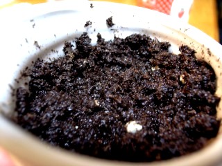 f0106557_1429356.jpg