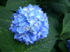 a0048361_1833166.jpg