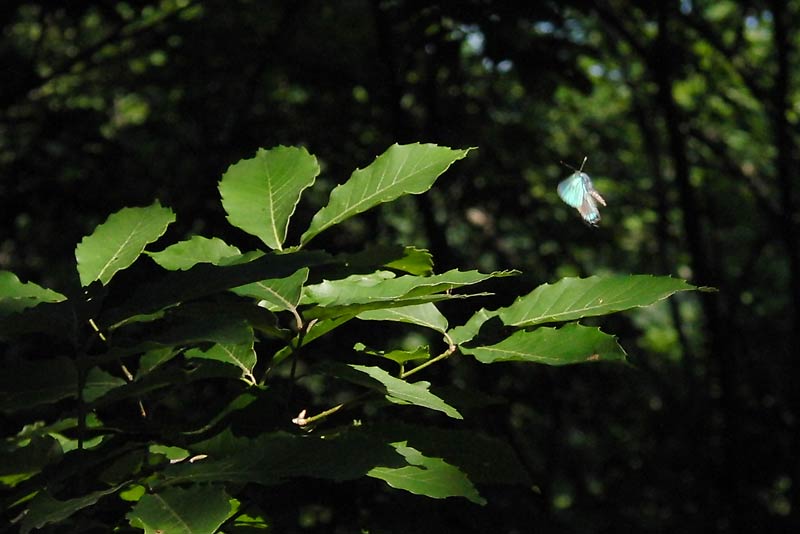 c0043361_1263083.jpg