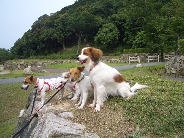 f0120770_2131785.jpg