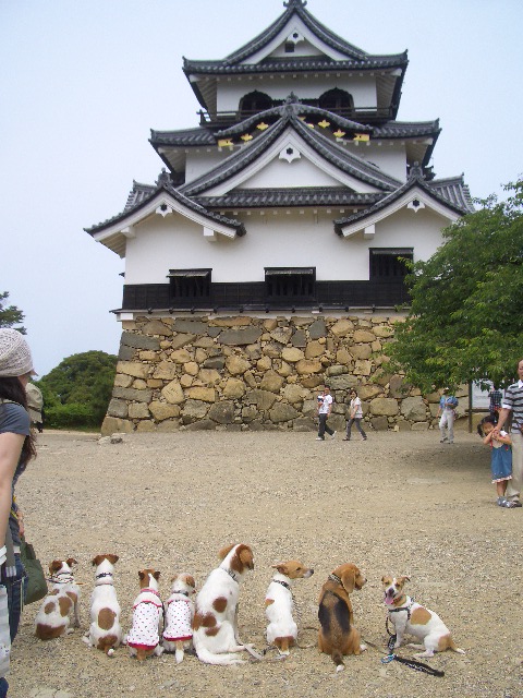 f0120770_21321913.jpg