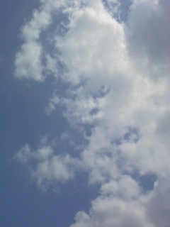 a0000273_1263749.jpg