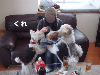 b0091373_11252.gif