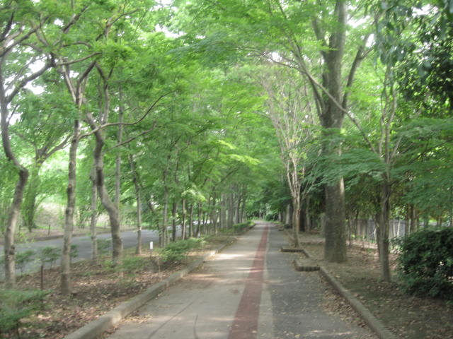 d0070473_11181083.jpg