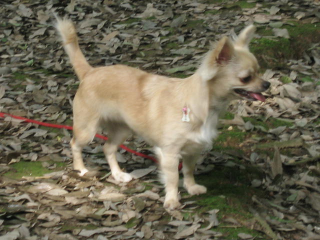 d0070473_11295818.jpg