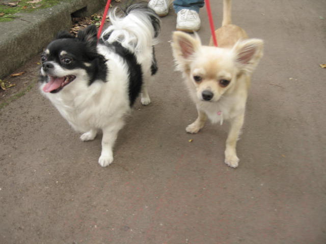 d0070473_1132978.jpg