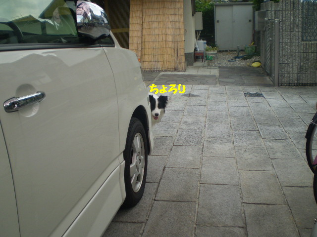 e0117976_22554759.jpg