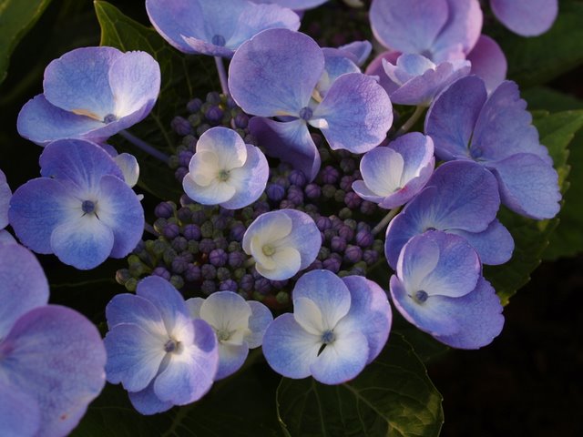 c0126477_935988.jpg