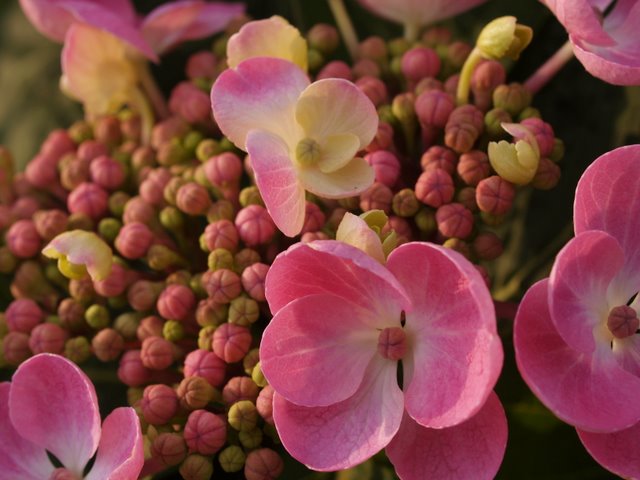 c0126477_952099.jpg