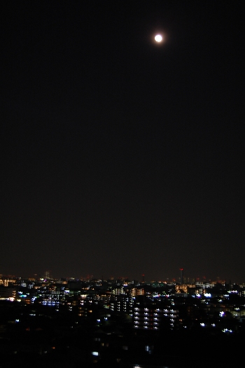 b0143983_2164591.jpg