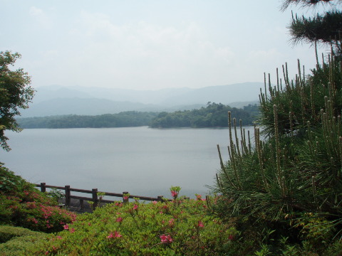 d0098183_22111582.jpg