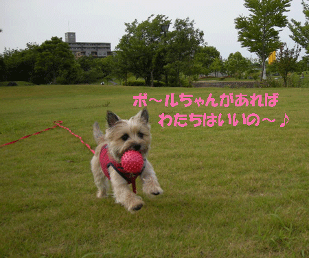 e0066883_21151794.gif