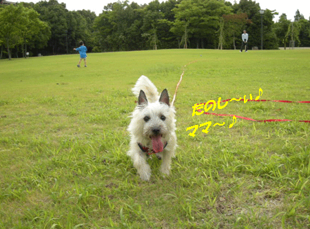 e0066883_21172125.gif