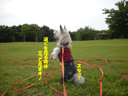 e0066883_21174076.gif