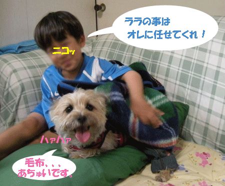 e0066883_21271585.gif