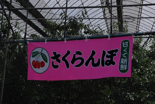 f0159784_10215657.jpg