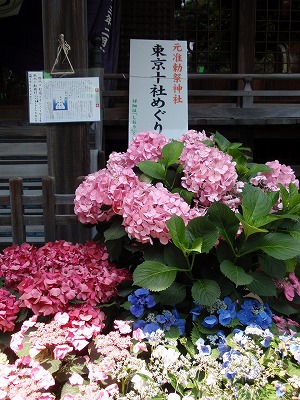 c0105785_10102540.jpg