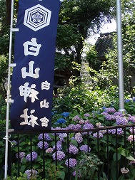 c0105785_1014511.jpg