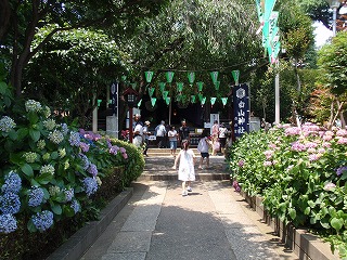 c0105785_9595285.jpg