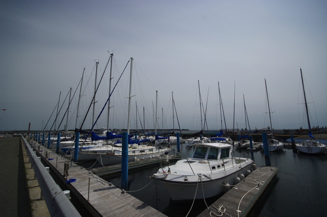 d0124687_09373.jpg