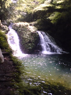 d0034988_11465450.jpg